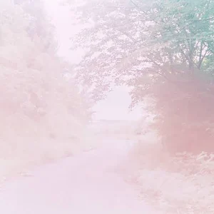 Rinko Kawauchi — Révéler l’extraordinaire du quotidien